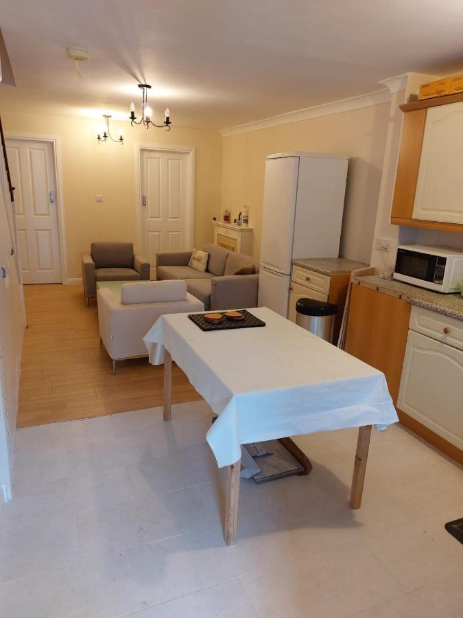 Vibrant Single Only For One Adult 3*