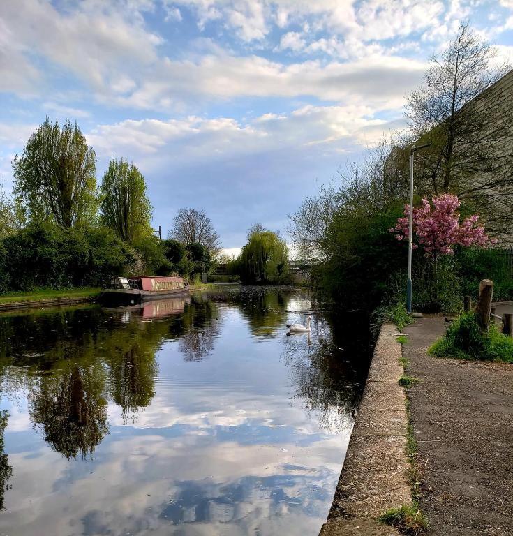 Vibrant Single Only For One Adult 3* Southall